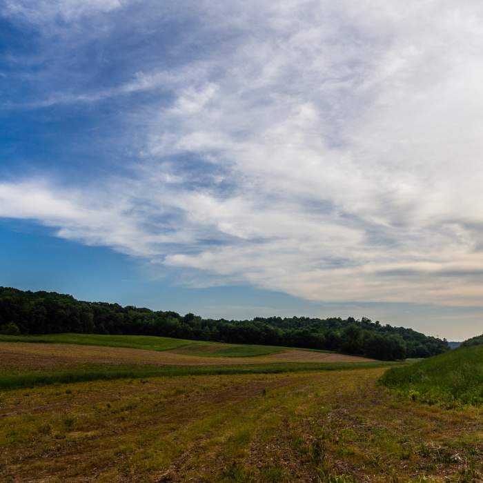 Near Natural Bridge State Park Loop
