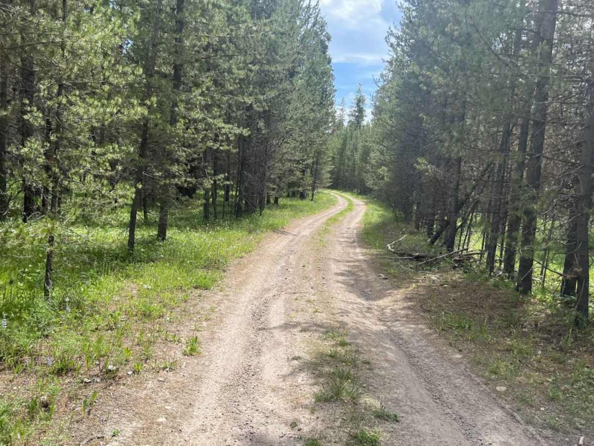 East Bench (FS 8378) trail photo