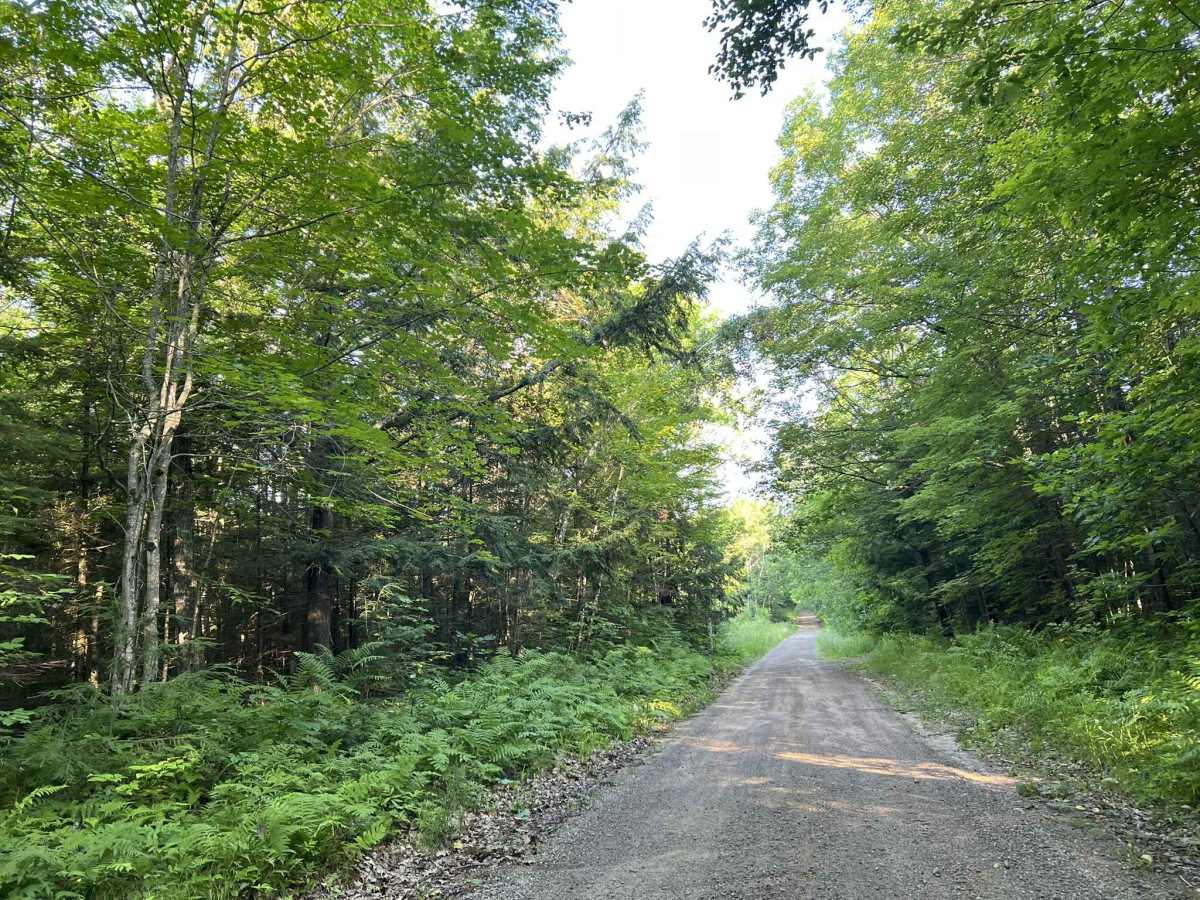 Bug Lake Road photo 3