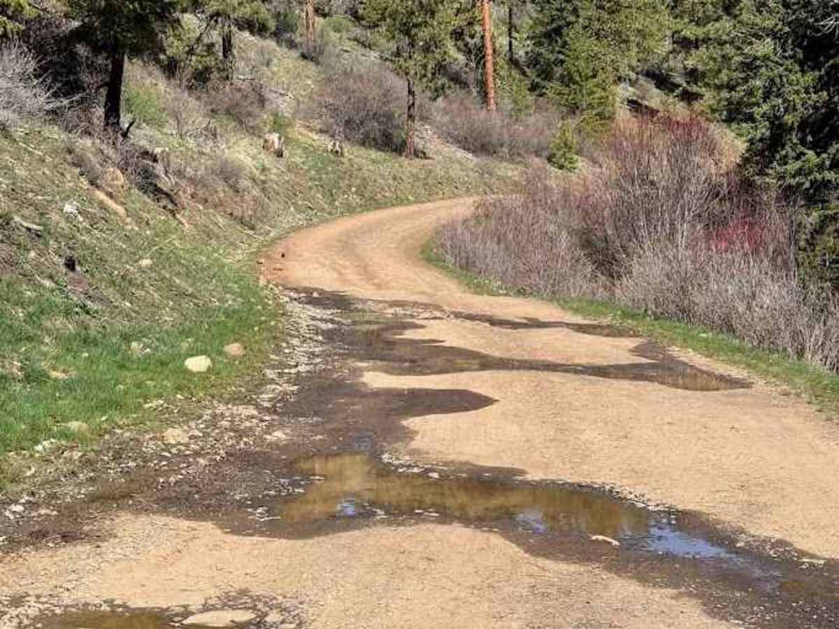 Cooke Canyon Road photo 6
