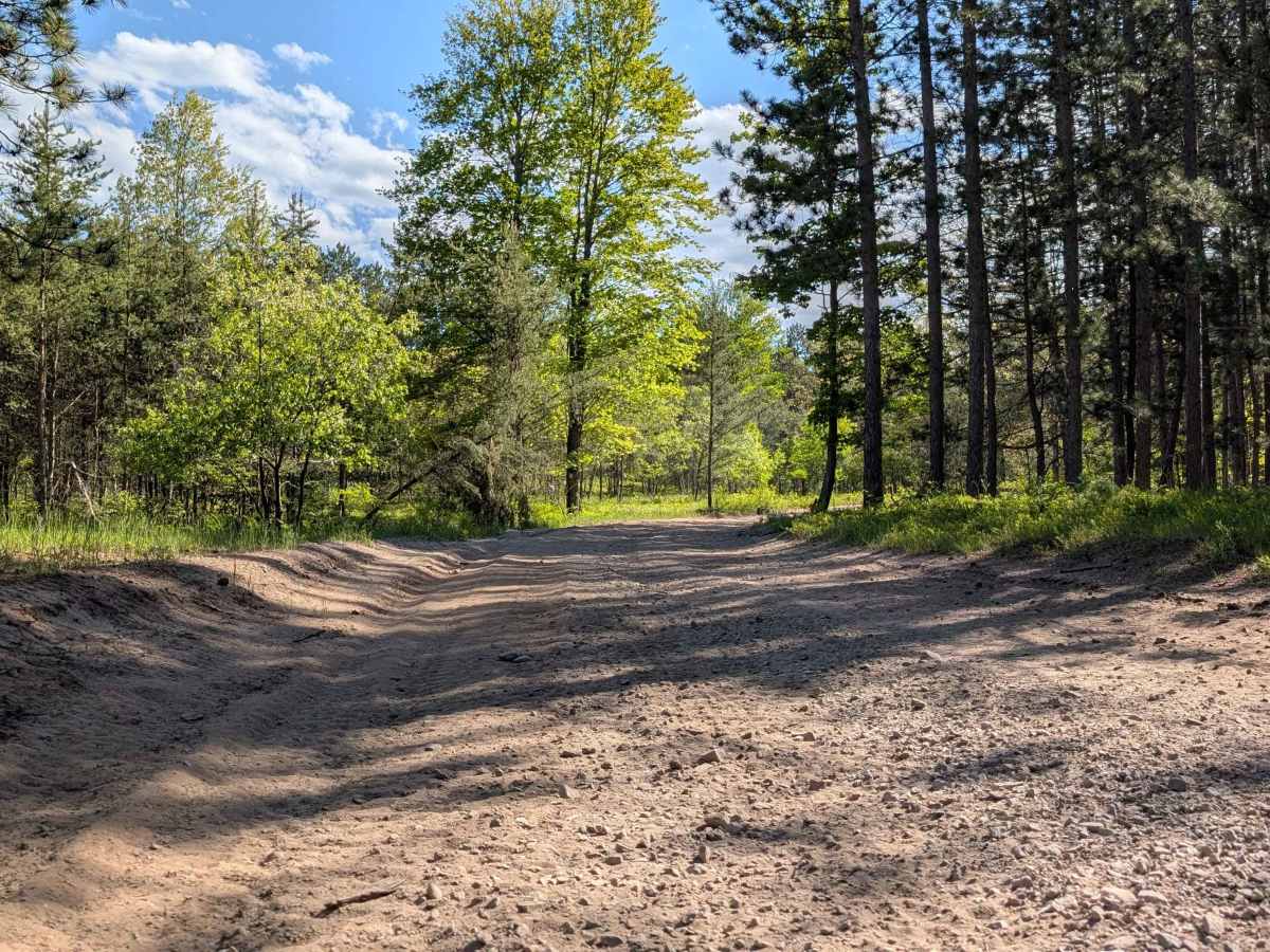 Devil Creek Road (Kalkaska Route - KKR) photo 3