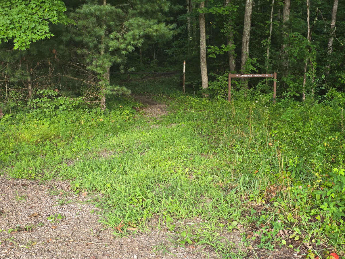 Upper Burke Field Road photo 4