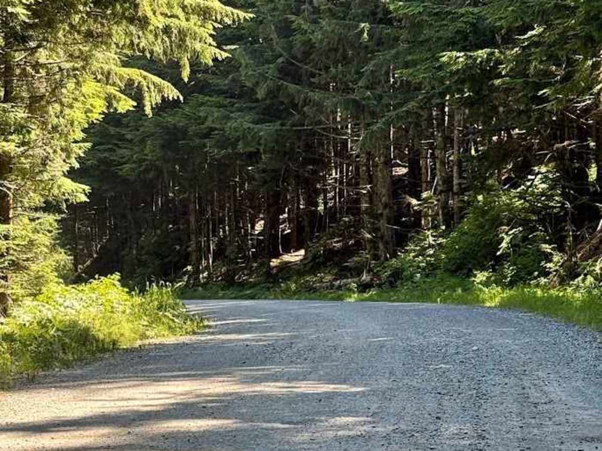 Mount Pilchuck - FS 4200 trail photo