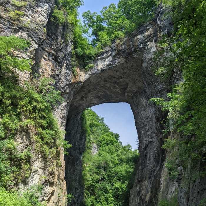 Near Cedar Creek Trail