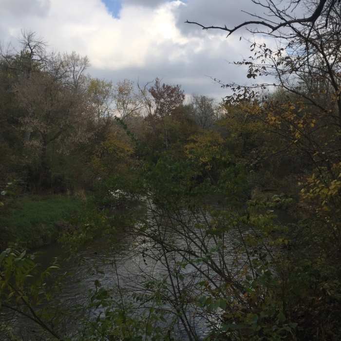 River Near South Loop Trail