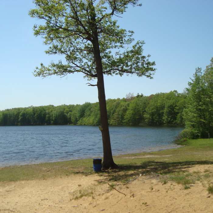 Springtime at Ely Lake at Ely Lake Campground which is a stop-over on the Wakazoo Trail. Near Wakazoo Loop