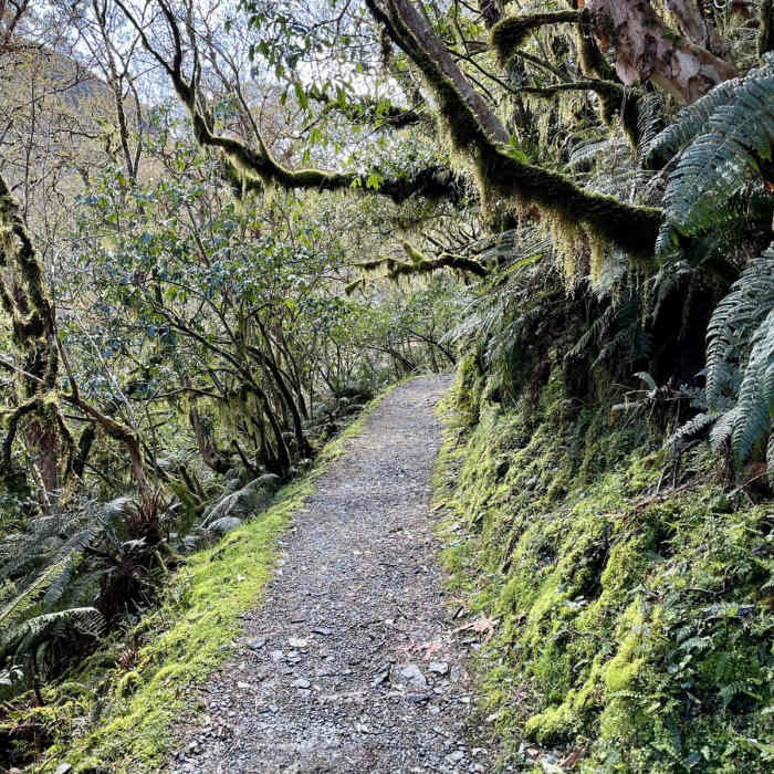 Near Key Summit and View of Lake Marian via Routeburn Track