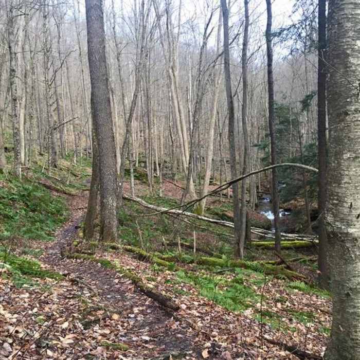 Near Morrison and Rimrock Trails