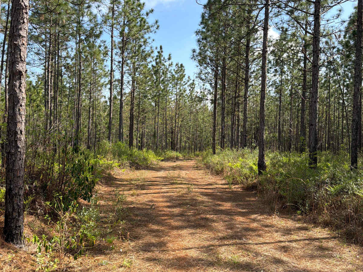 R 17 trail photo