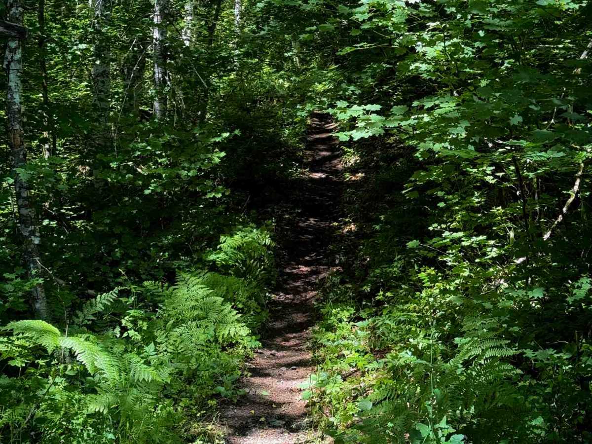 Silver Creek Trail - 258 photo 6