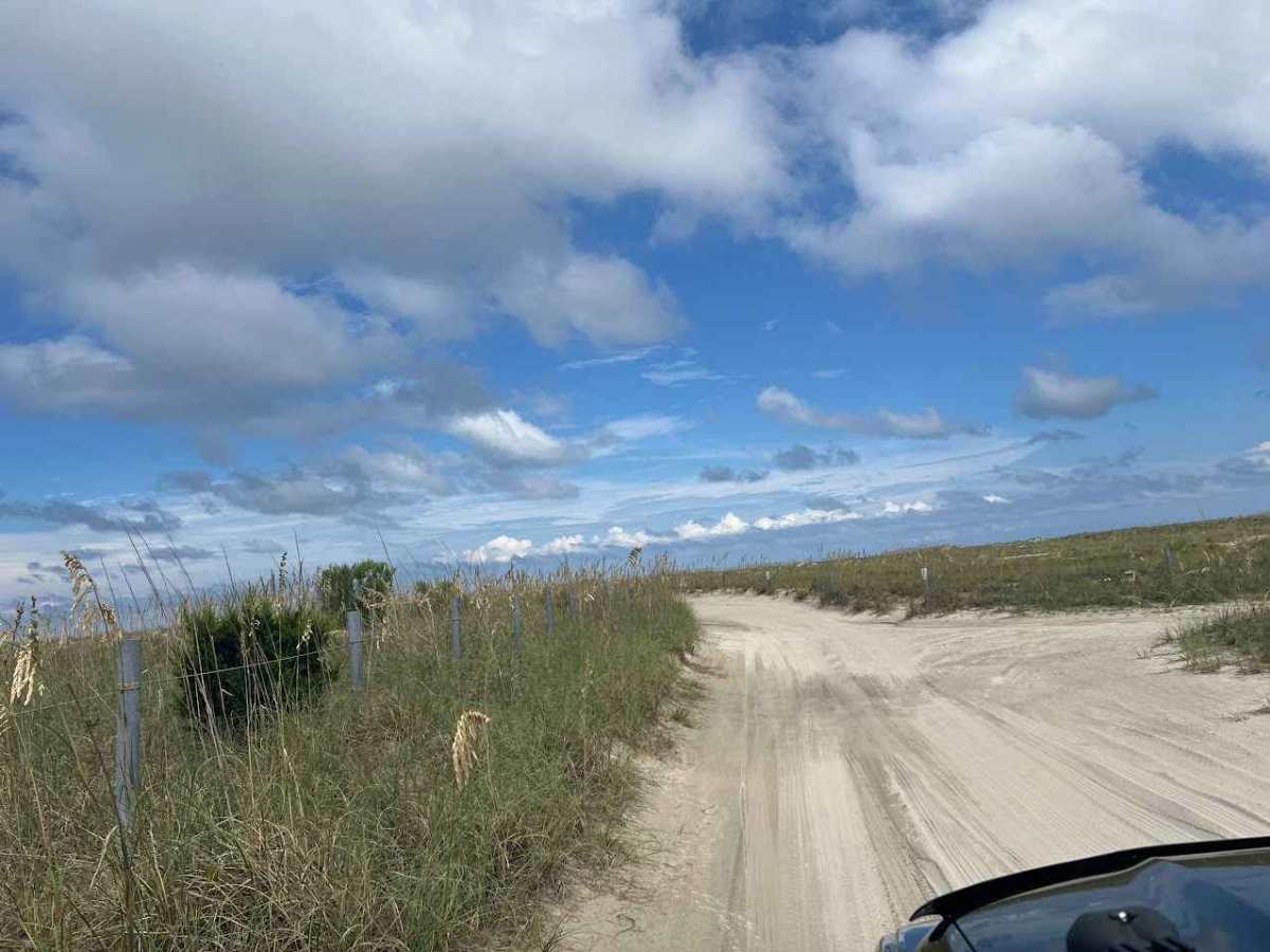 Amelia Island State Park photo 5