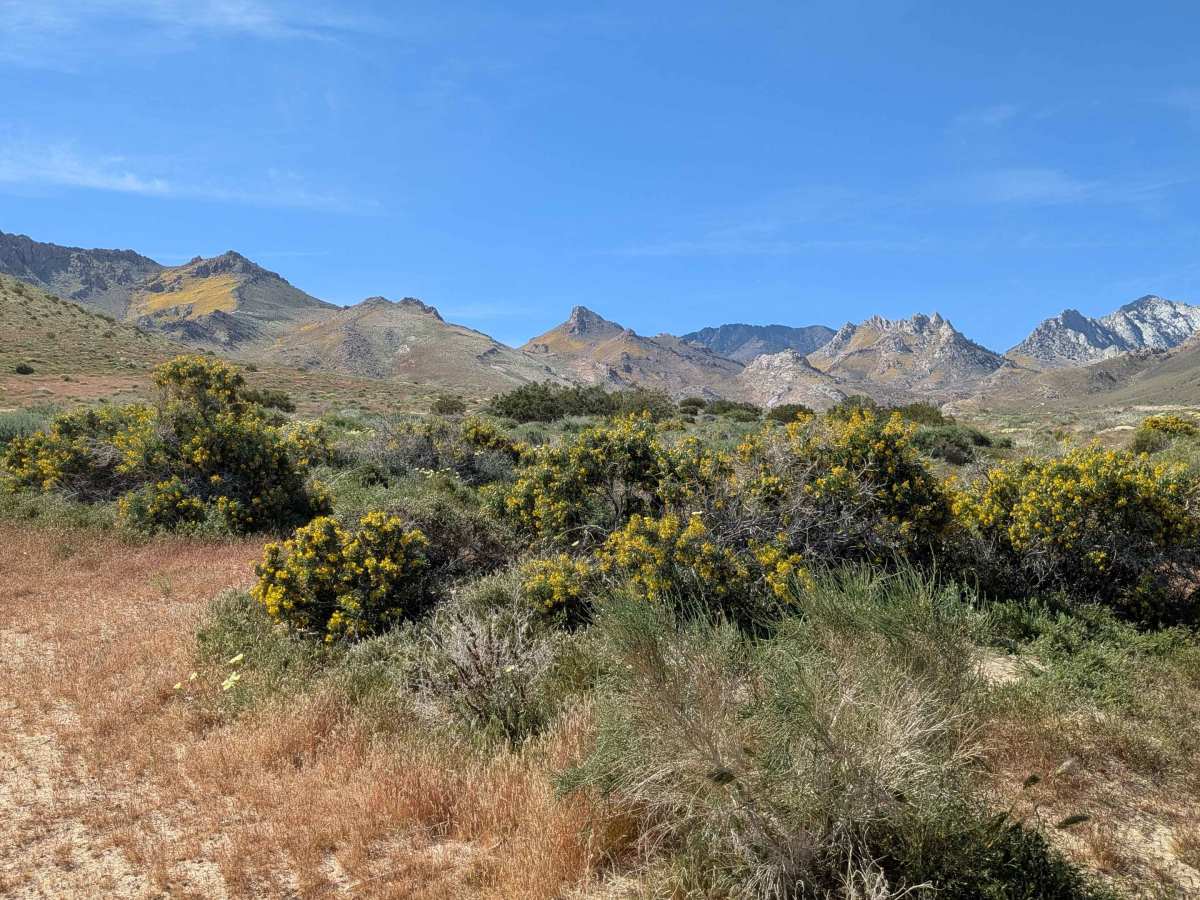 Short Canyon Road - BLM SE138 photo 3