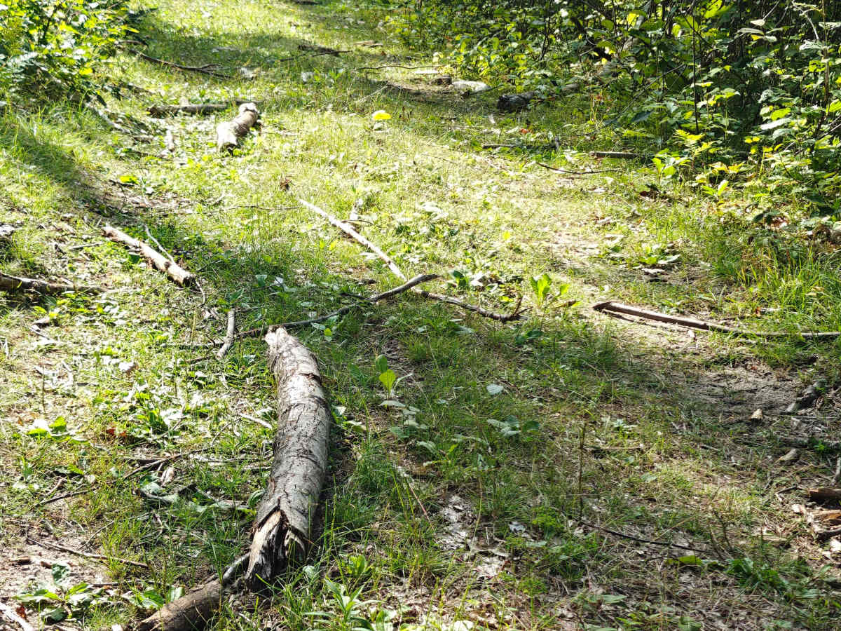 Border Trail photo 2