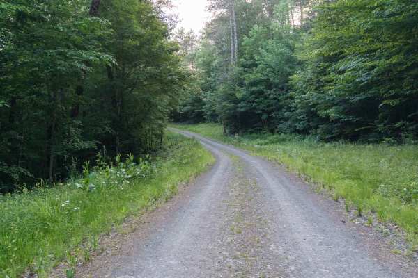 Truck Trail 5