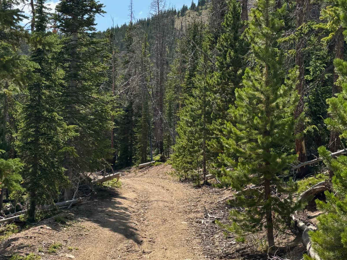Parkview Mountain Mine photo 5