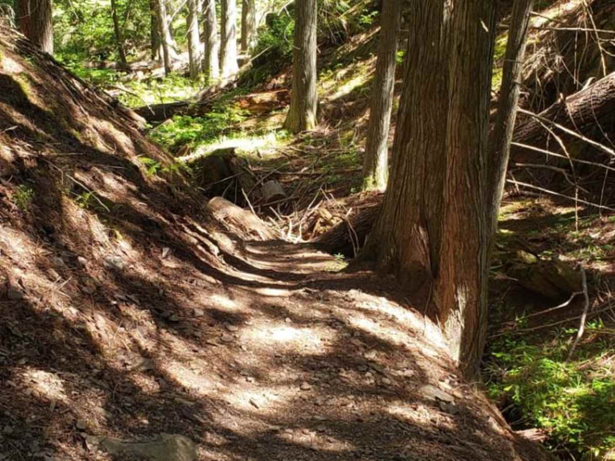 River Trail photo 2