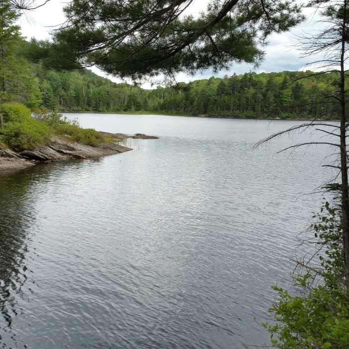 Near Little Rock Pond Loop #416