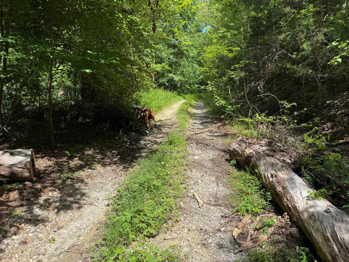Shirley Creek photo 6