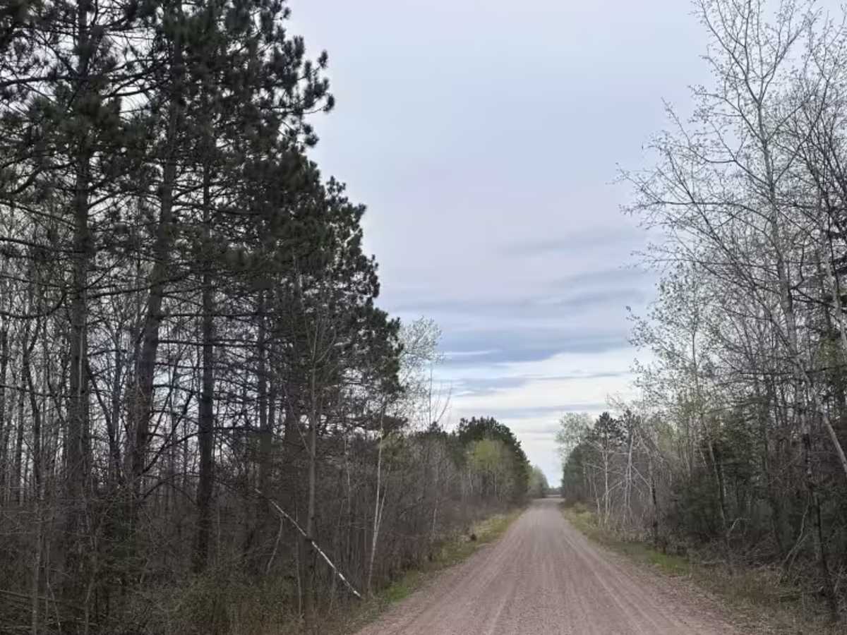 Chengwatana Forest Road photo 4