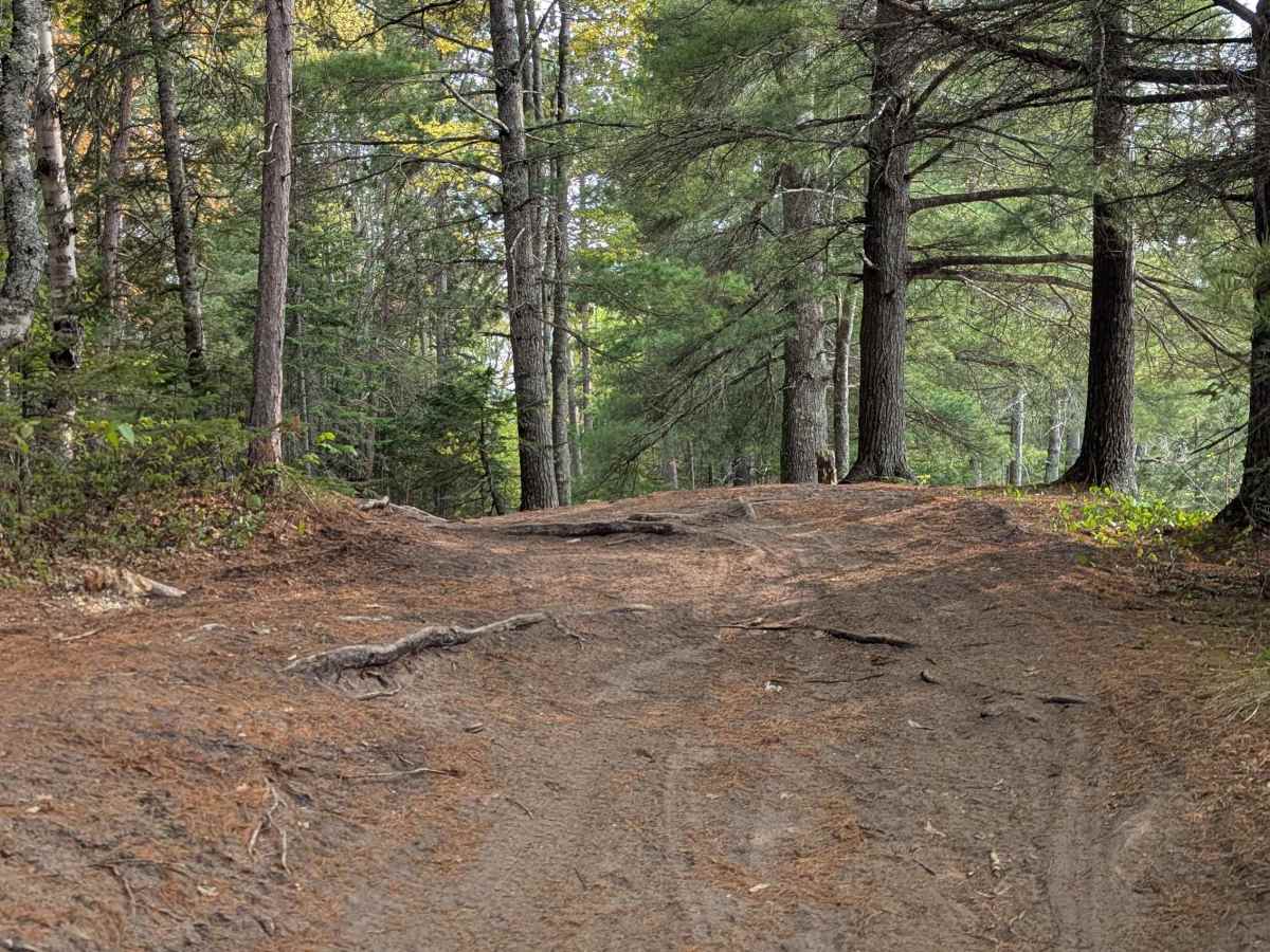 Huron Mouth Trail photo 2