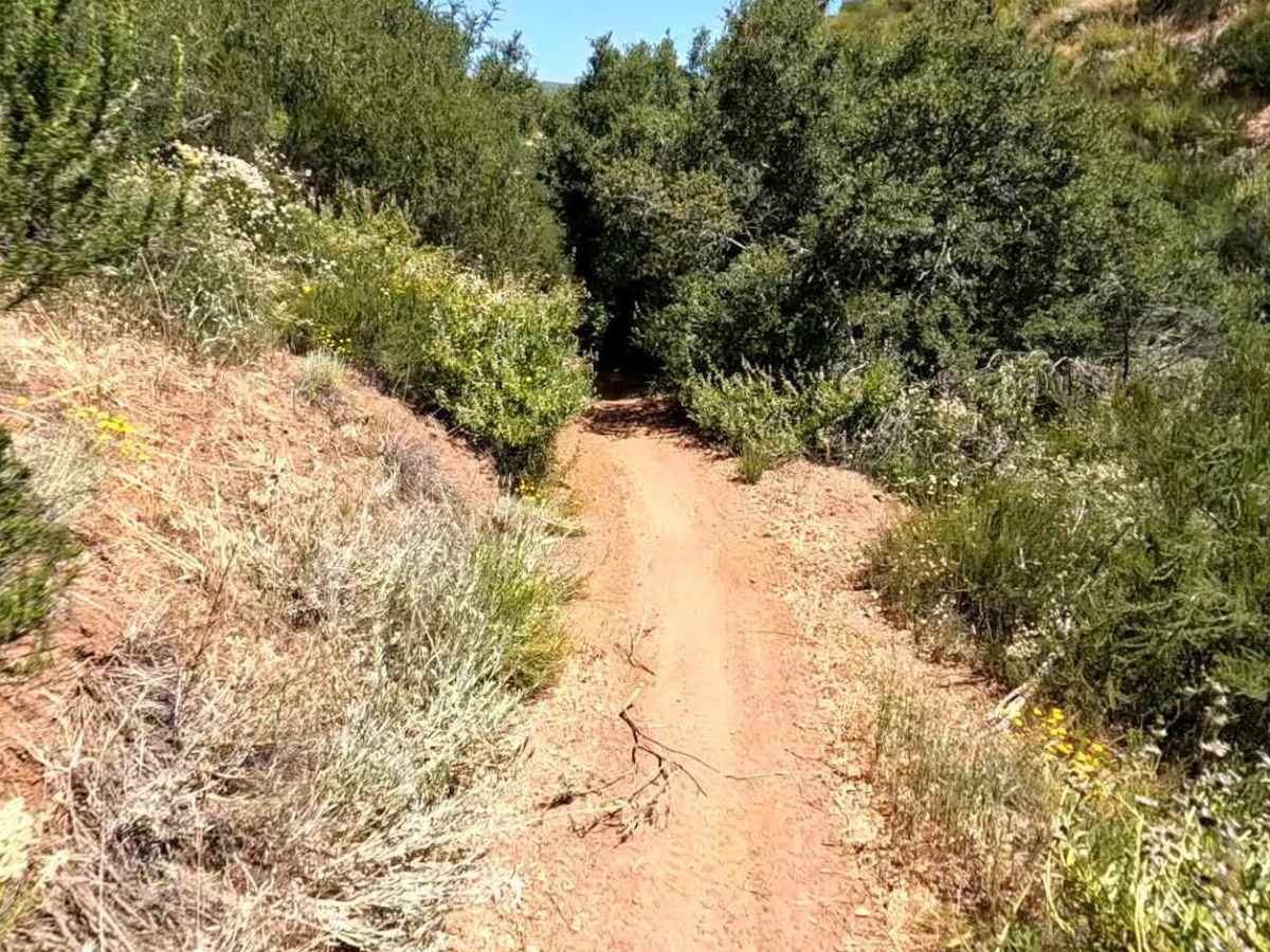 Spring OHV Trail photo 4