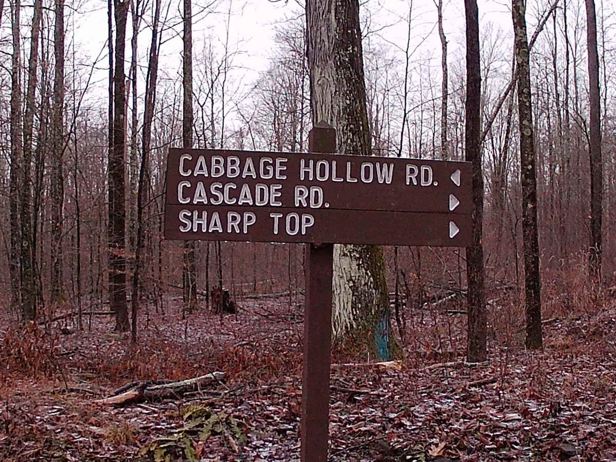Cascade Road photo 5
