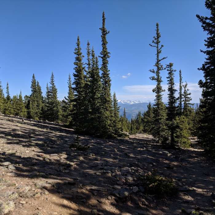 Near Chief Mountain Trail #58