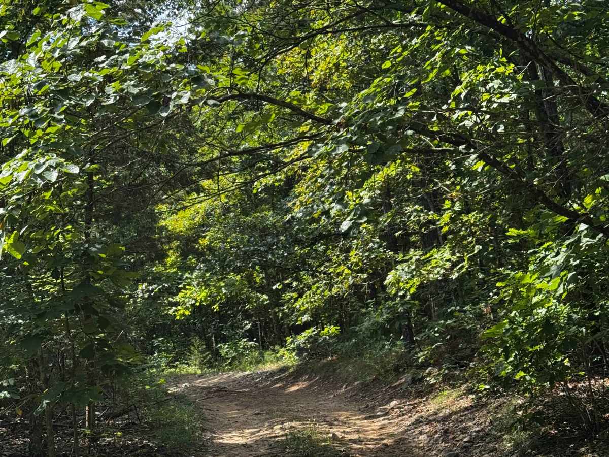 Jeepers Sleepers trail photo