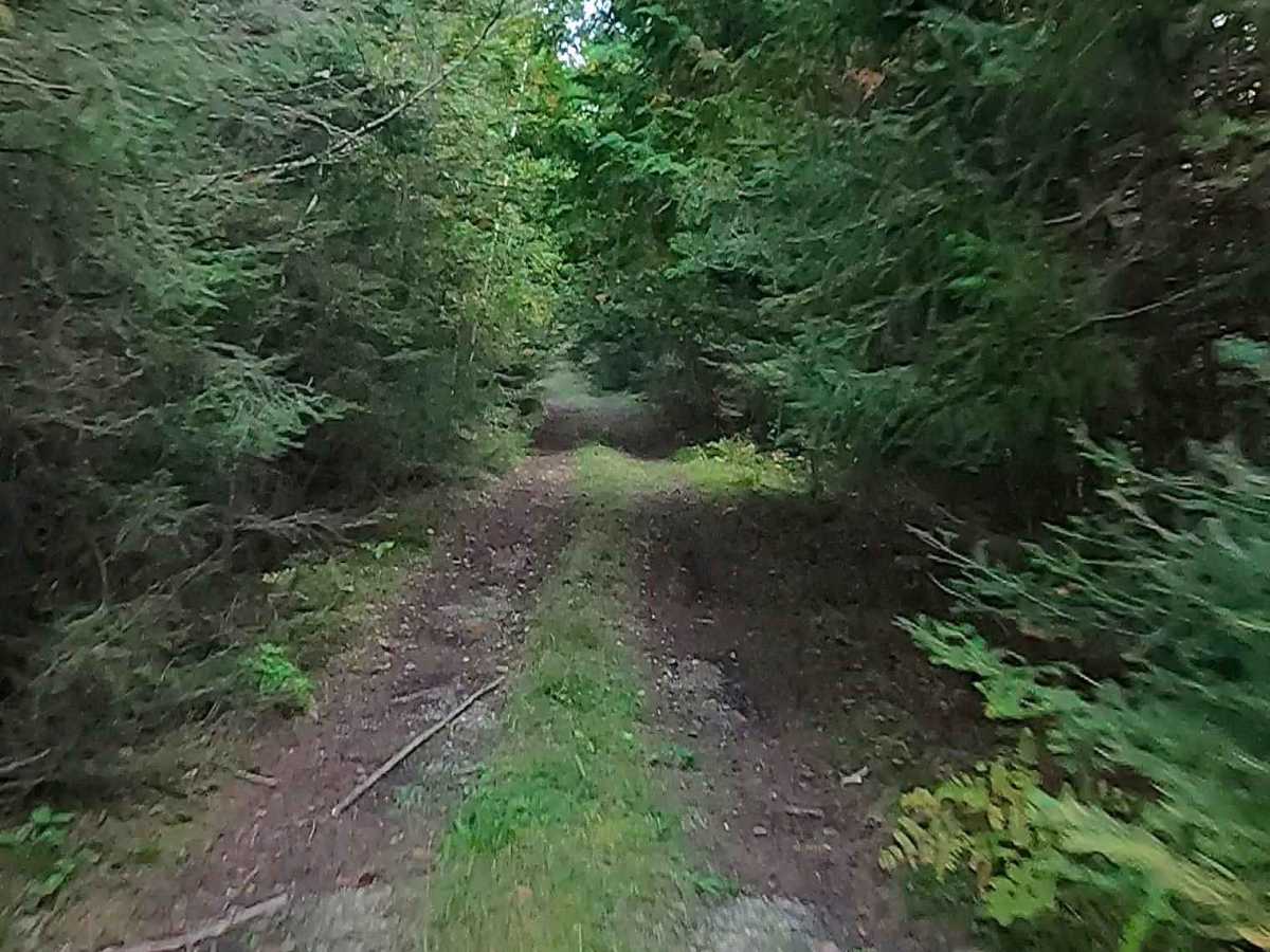 Old Castle Rock Trail - FS 3163  photo 4