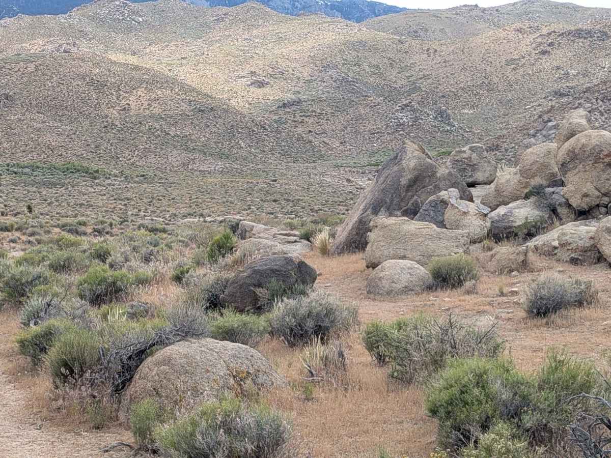 BLM SE741a trail photo