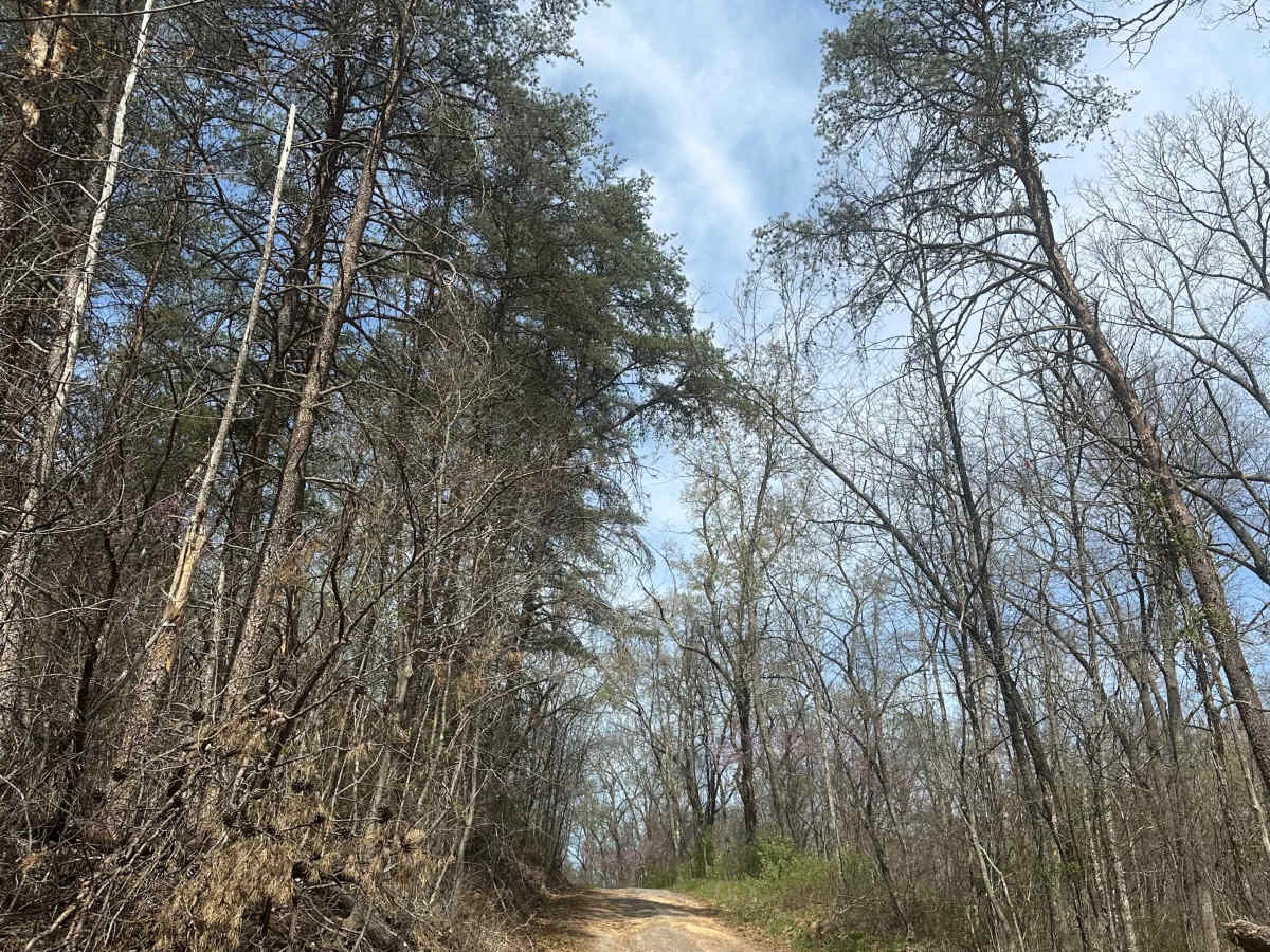 Alleghany Line Road photo 5