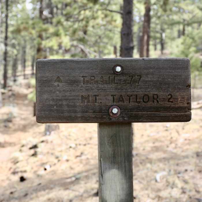 Near Gooseberry Springs Trail to Mount Taylor