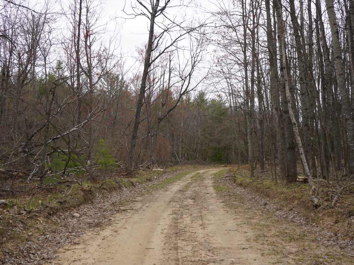 McComber Trail - FS 4482 photo 6