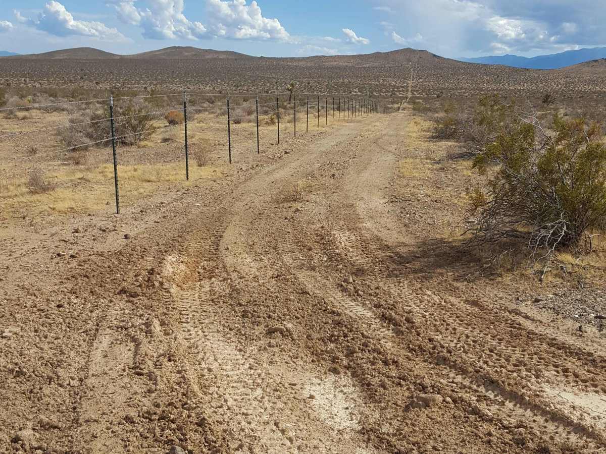 Waldheim Wash photo 6