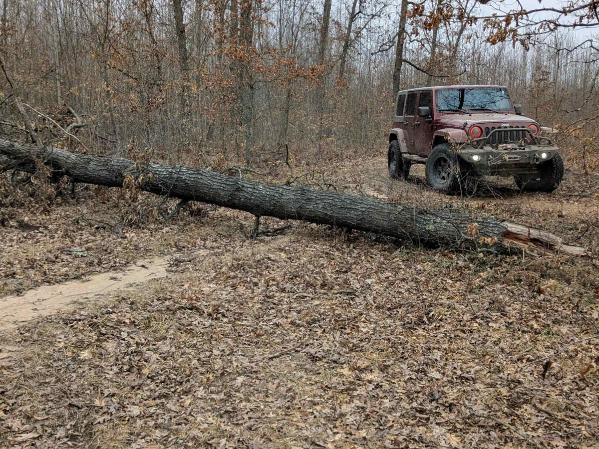 Hilly Trail trail photo