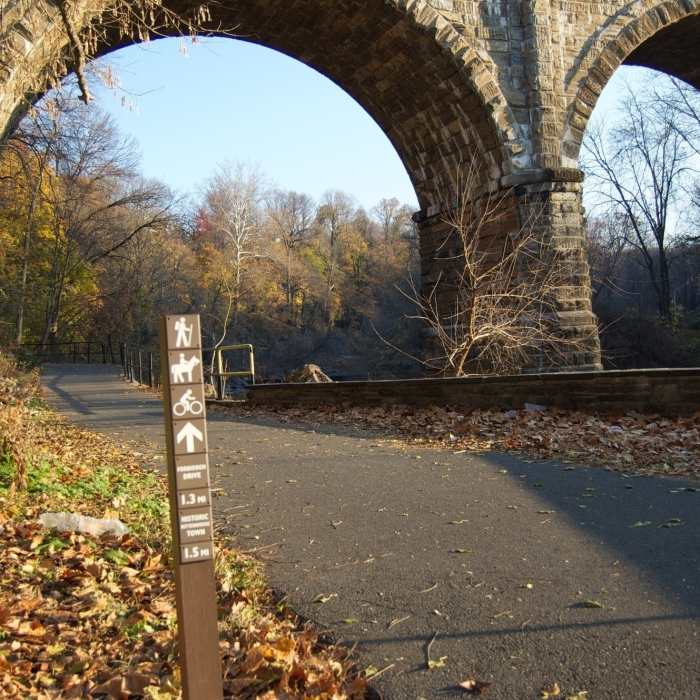 Near Green/Orange Blazed Trail