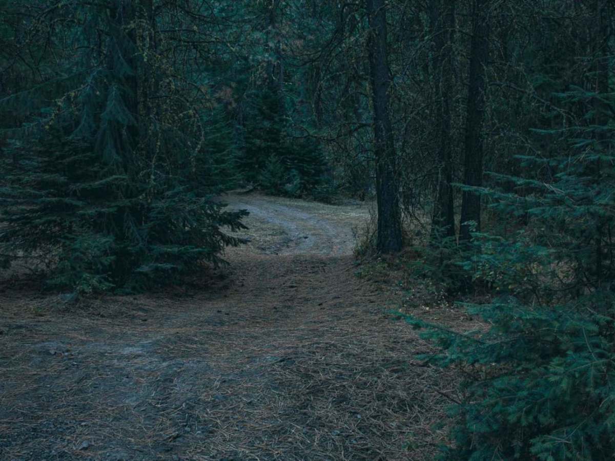 Milk Creek photo 3