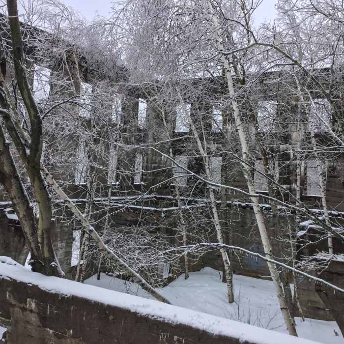 Now only trees are booked in this hotel. Near Overlook Trail