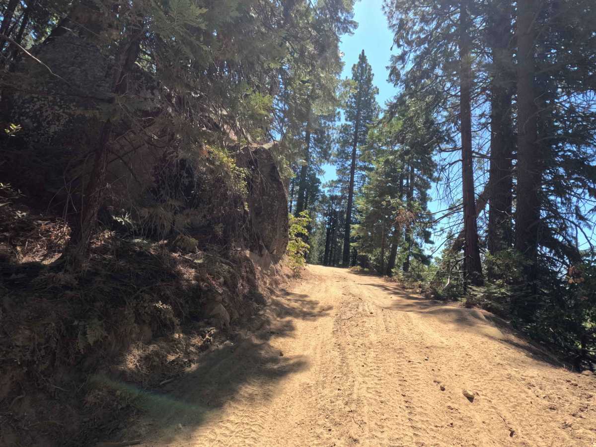 Mount Raymond Road - FS 5S006 photo 5