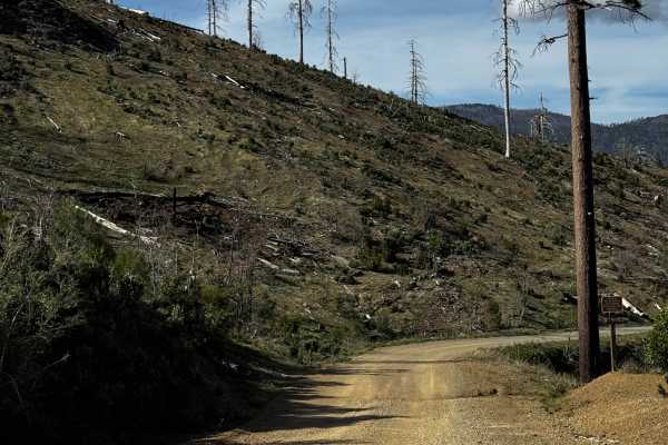 Letts Valley - FS 17N02