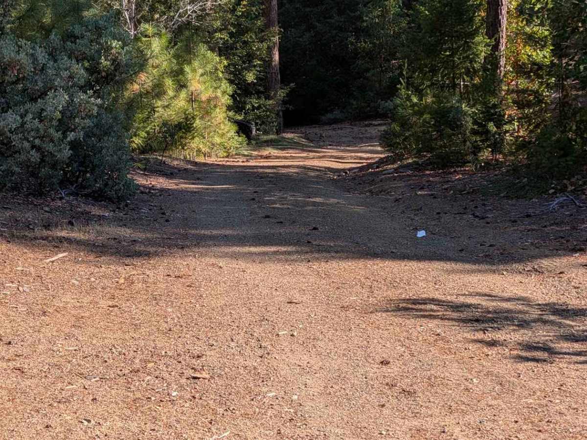 Telephone Ridge Road - FS 30N24 photo 3