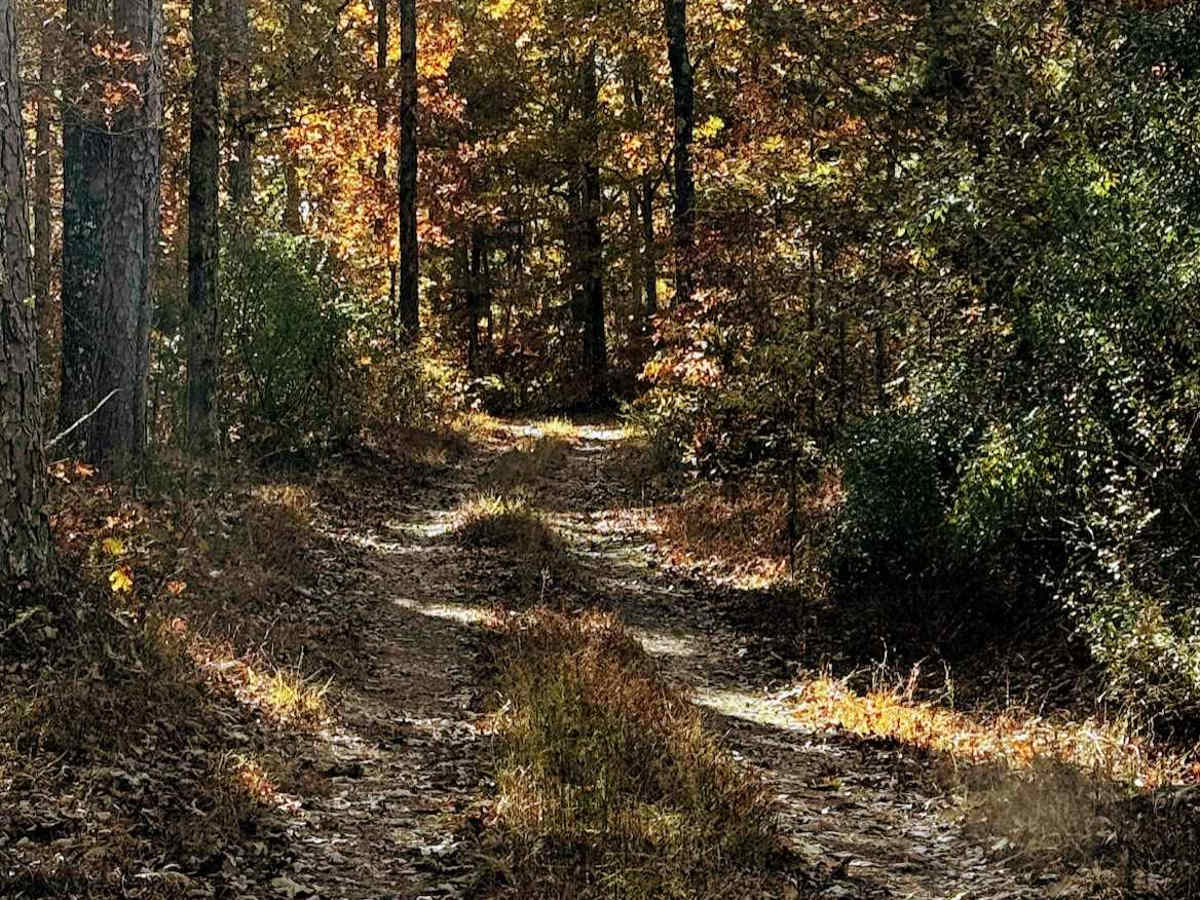 WMA Road 9 photo 3