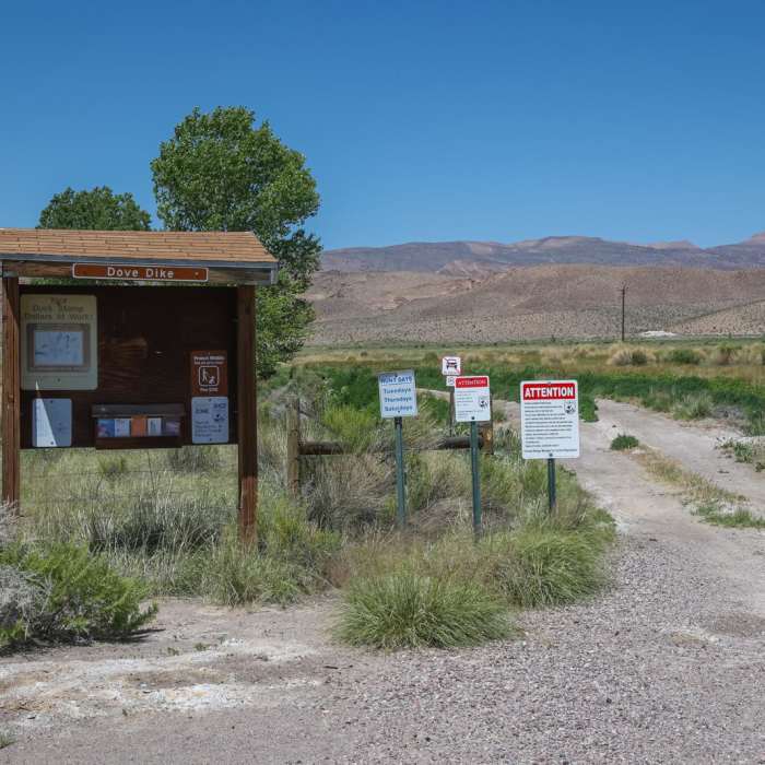 Near Dove Dike Trail Near Dove Dike Trail