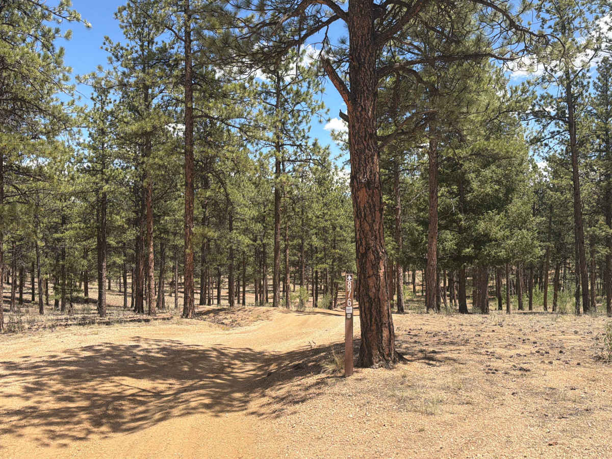 3 Bears - FS 876 trail photo