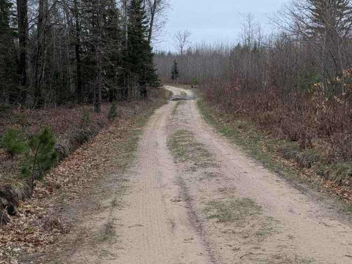 Osceola Trail North photo 4