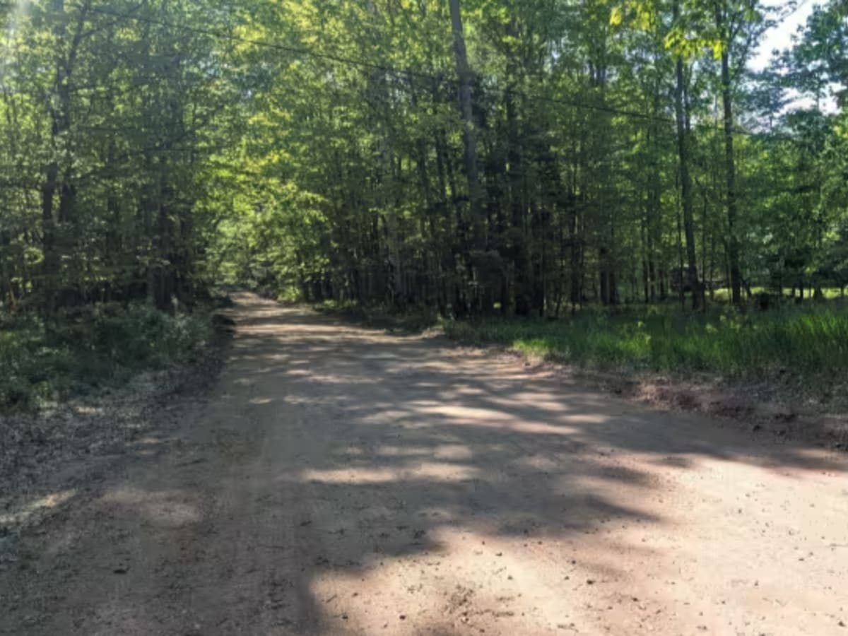 Wilson Truck Trail photo 2