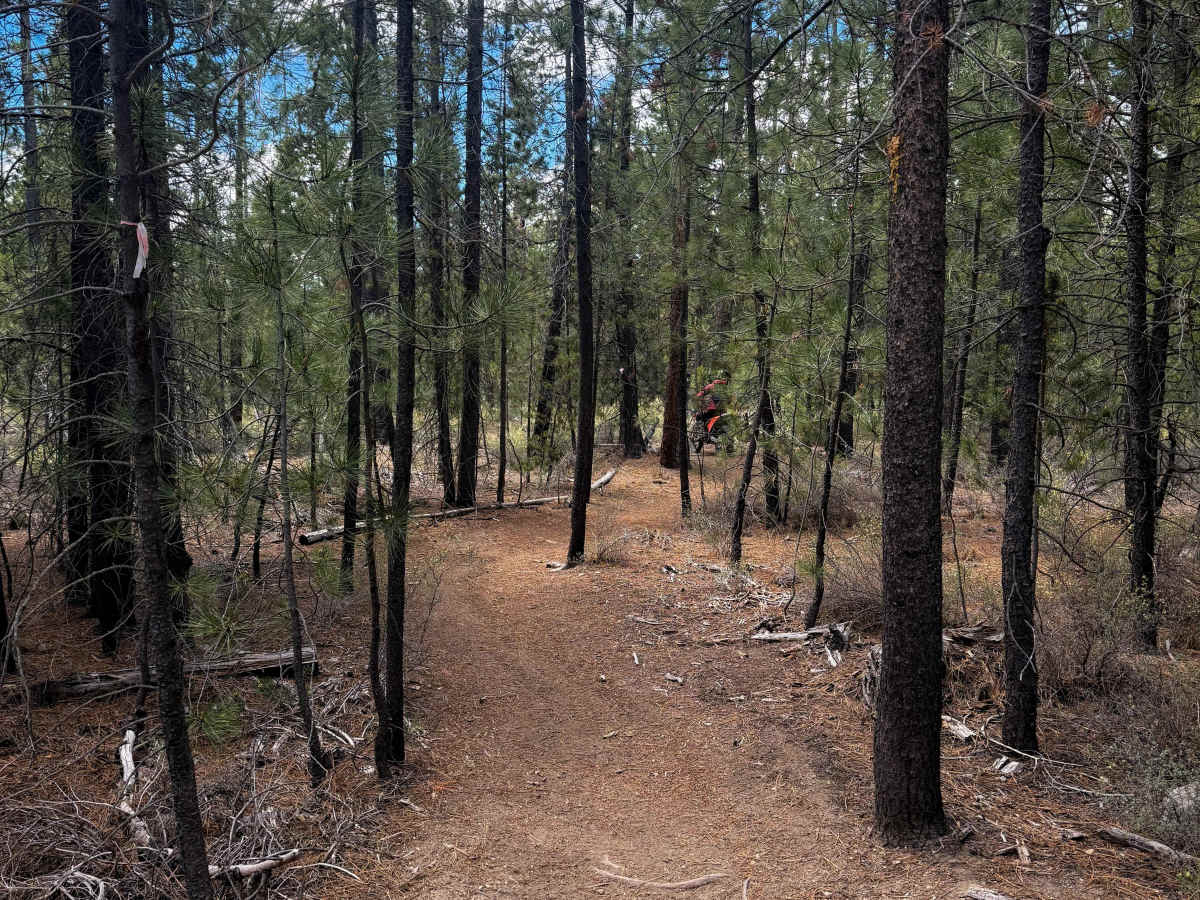 Trail 37  trail photo