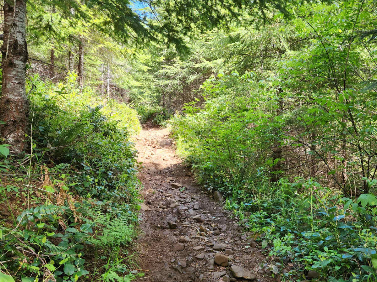 North Rim Trail #3 photo 3