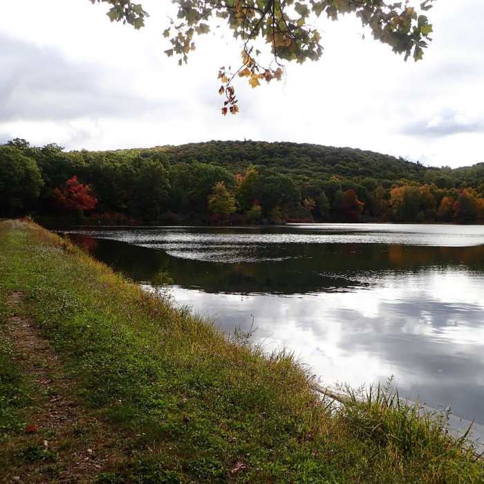 Near Black Rock - Scenic Trail Loop