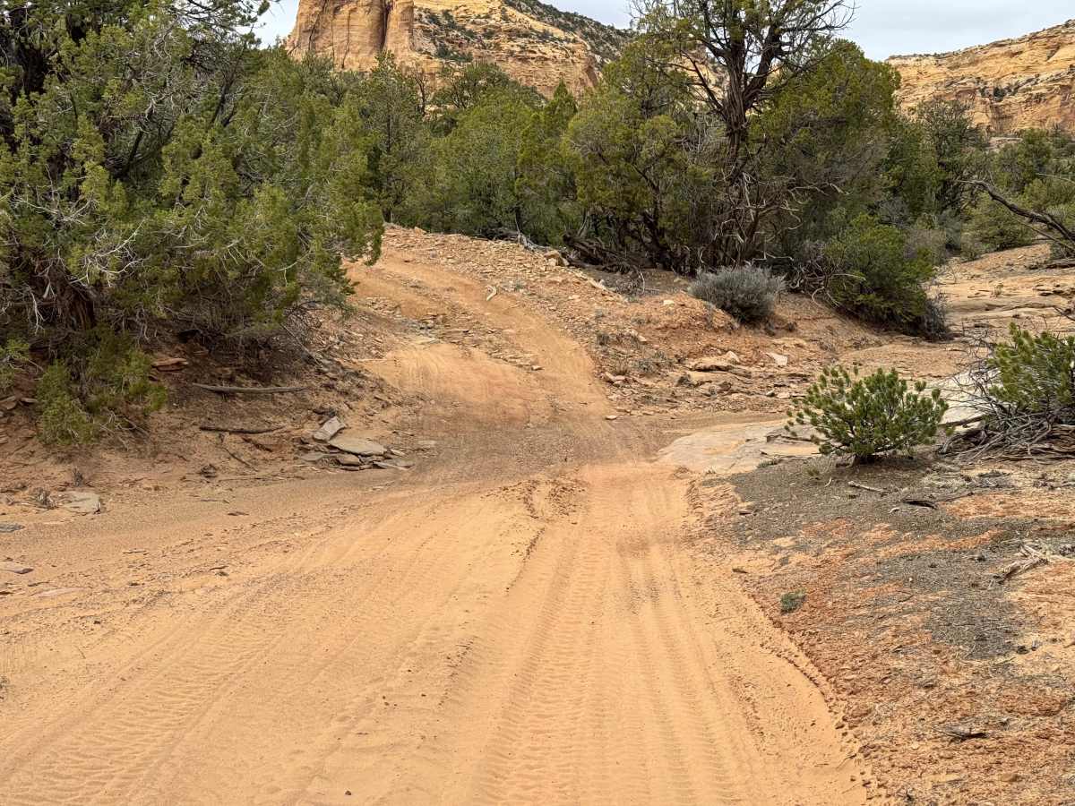 BLM 929 photo 2